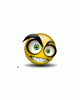 Animated (362)